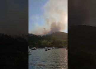 Огнеборците извършиха героизъм на Вурвуру