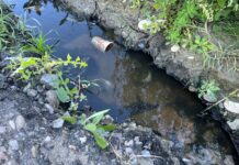Фекалии се изливат по улица в Струмяни близо до тръба с питейна вода. Има ли риск за здравето?